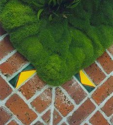 Pocket-Handkerchief-Garden (1) Pocket-Handkerchief-Garden (1)