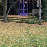 Waikuku-Woodland (1) Waikuku-Woodland (1)