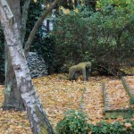 Waikuku-Woodland Waikuku-Woodland