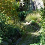 Waikuku-Woodland-Garden (10) Waikuku-Woodland-Garden (10)