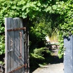 Waikuku-Woodland-Garden (11) Waikuku-Woodland-Garden (11)