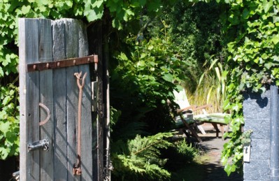 Waikuku-Woodland-Garden (11) Waikuku-Woodland-Garden (11)