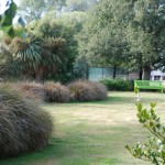 Waikuku-Woodland-Garden (25) Waikuku-Woodland-Garden (25)