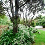 Waikanae-Woodland-Drive (1) Waikanae-Woodland-Drive (1)