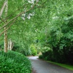 Waikanae-Woodland-Drive (13) Waikanae-Woodland-Drive (13)