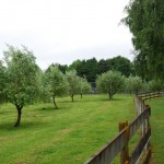 Waikanae-Woodland-Drive (5) Waikanae-Woodland-Drive (5)