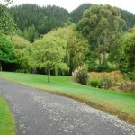 Waikanae-Woodland-Drive (7) Waikanae-Woodland-Drive (7)